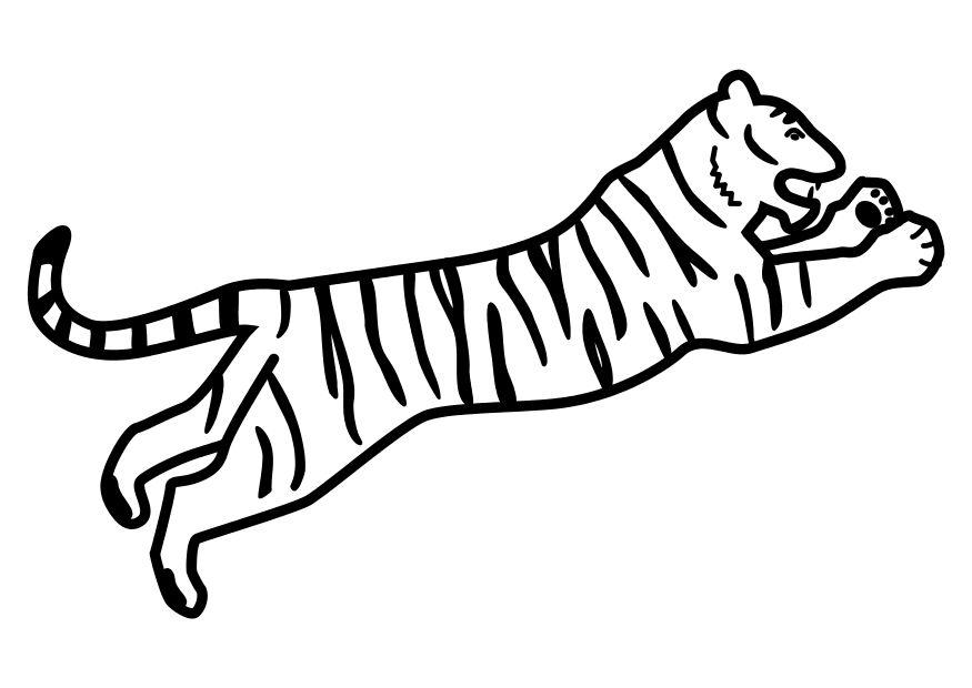 Malvorlage  springender Tiger