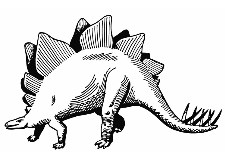 Malvorlage Stegosaurus | Ausmalbild 13284.