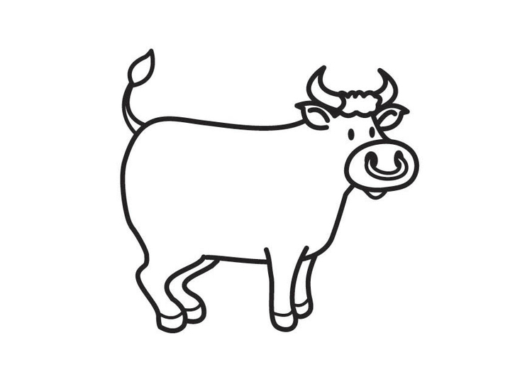 Malvorlage  Stier