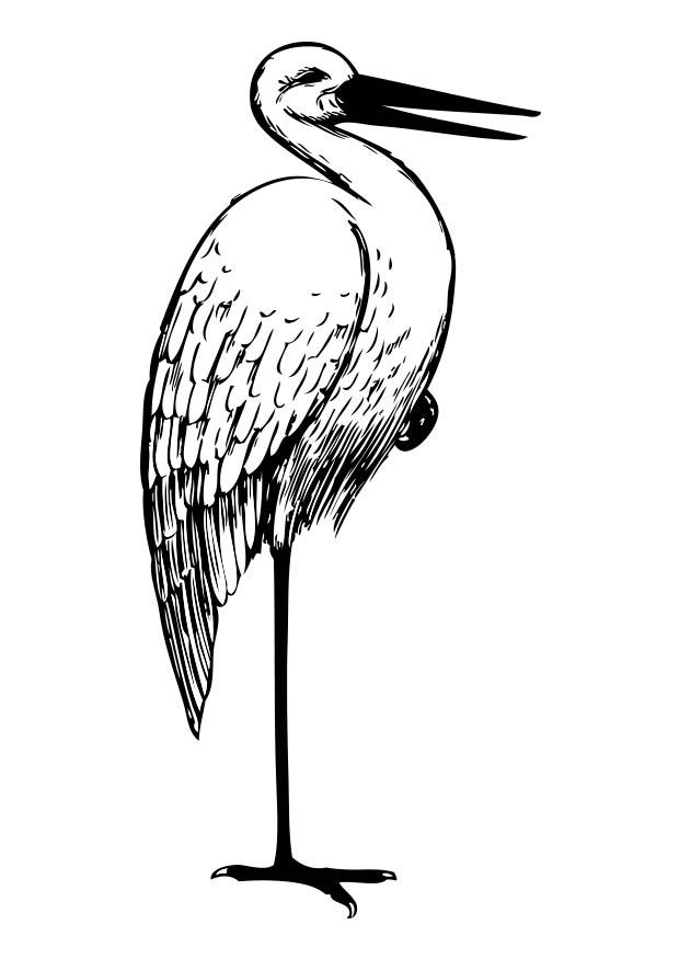 Malvorlage Storch | Ausmalbild 17418.