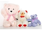 Foto teddybÃ¤r