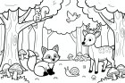 Tiere im Wald