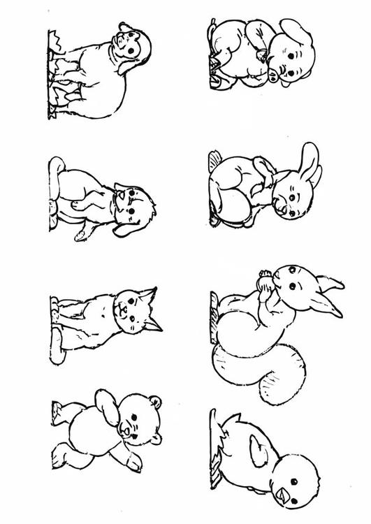 tiere