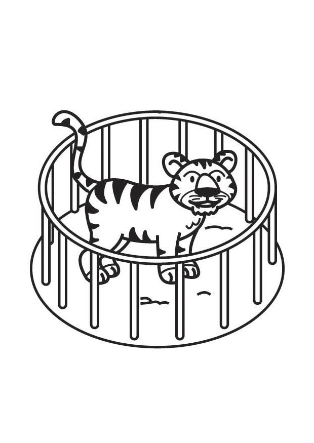 malvorlage tiger im käfig  kostenlose ausmalbilder zum
