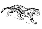 Malvorlage  Tiger