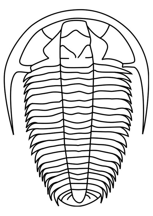 Trilobit