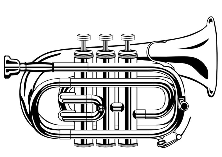 malvorlage trompete  kostenlose ausmalbilder zum