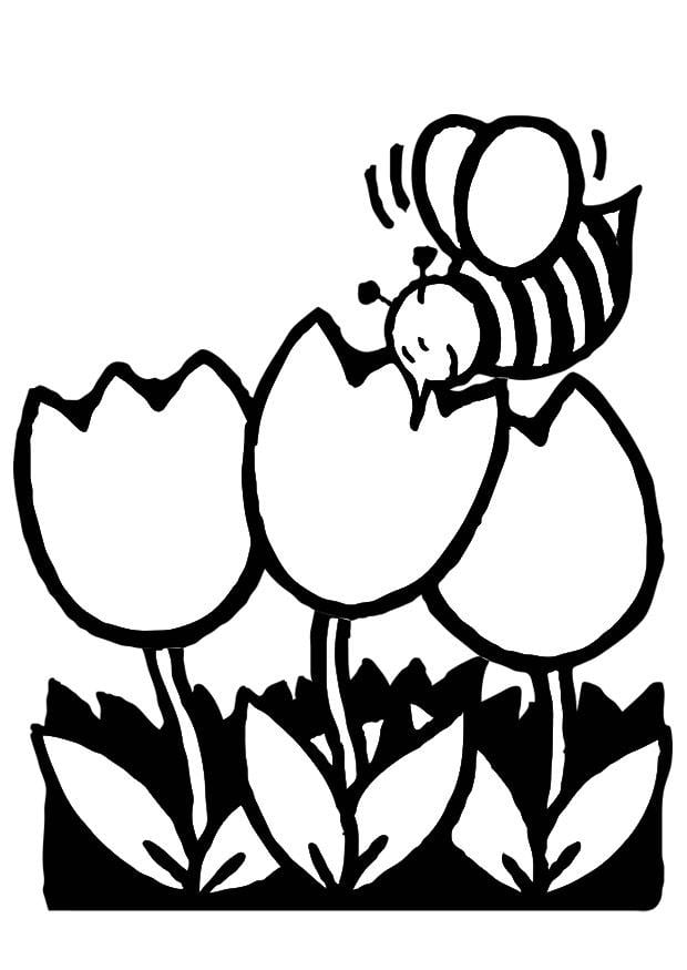 Malvorlage  Tulpen mit Biene