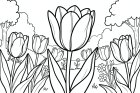 Tulpen