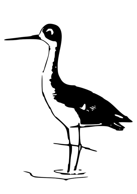 Malvorlage  Vogel