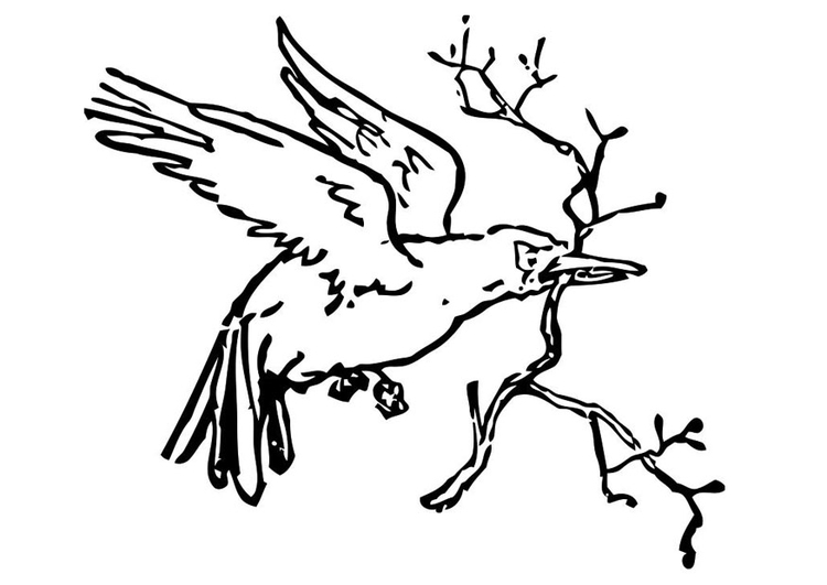 Malvorlage  Vogel mit Zweig