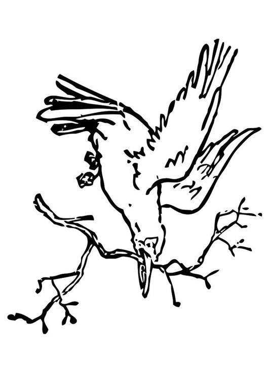 Vogel mit Zweig