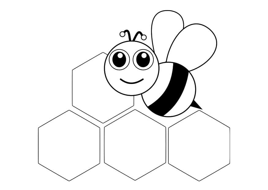 Malvorlage  Vorderansicht Biene