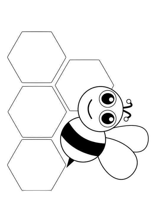 Vorderansicht Biene