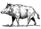 Malvorlage  Wildschwein