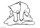 Malvorlage wombat