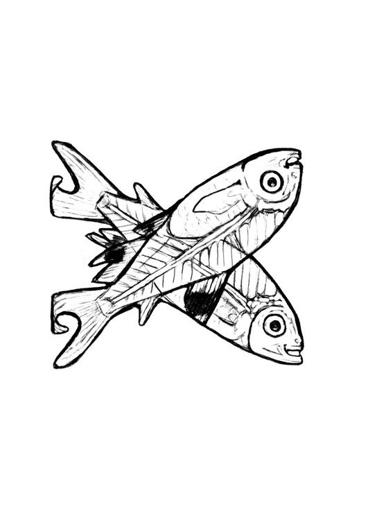 x-x-ray fish