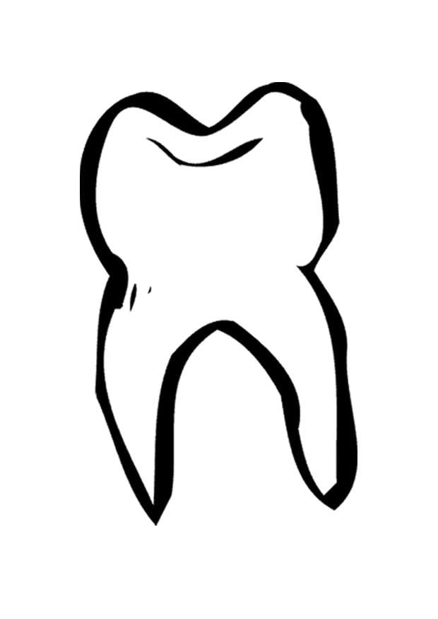 Malvorlage  Zahn