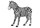 Malvorlage  Zebra